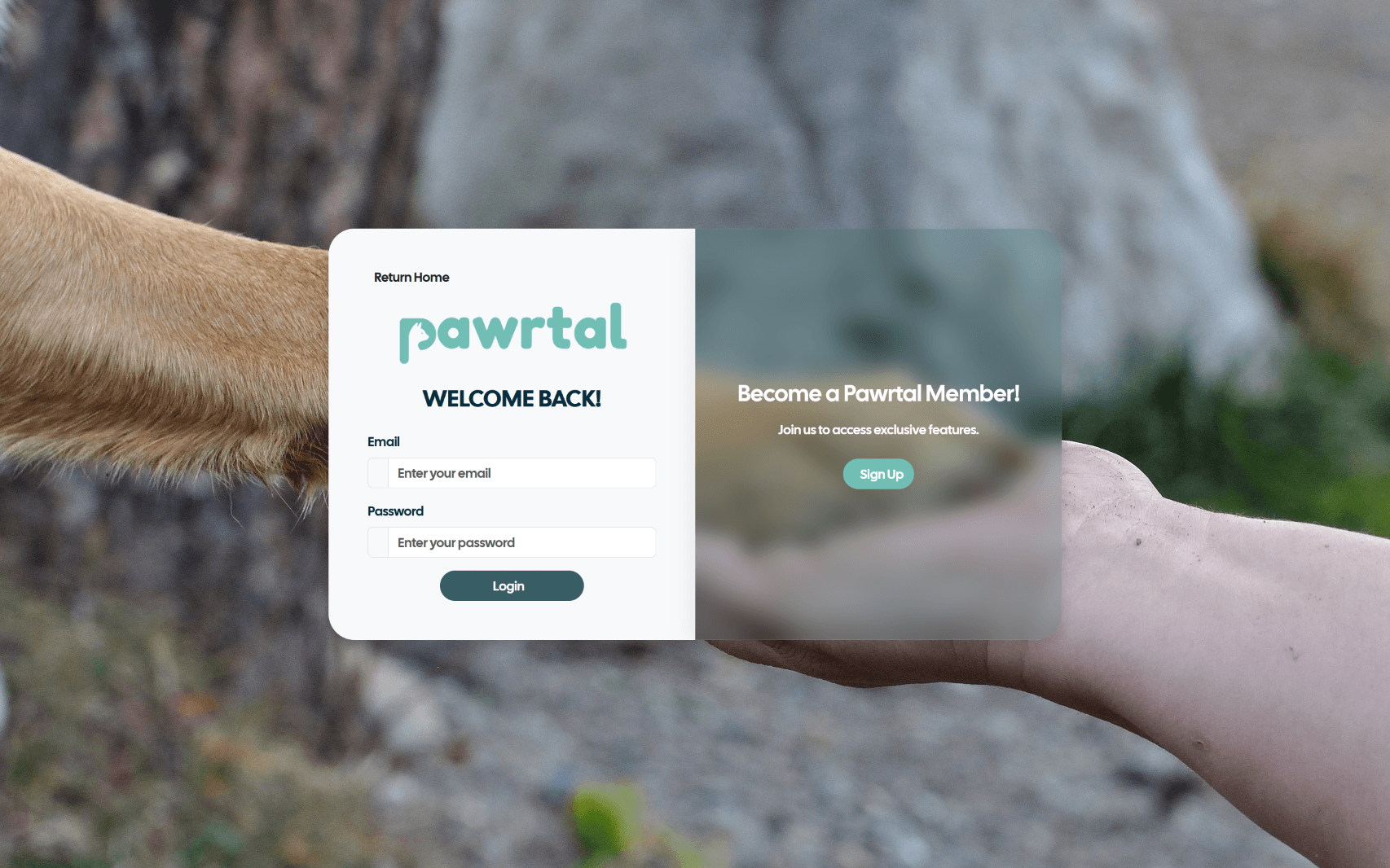 Pawrtal — screenshot 3